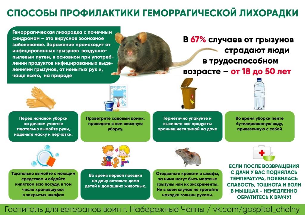 Природно очаговые инфекции презентация